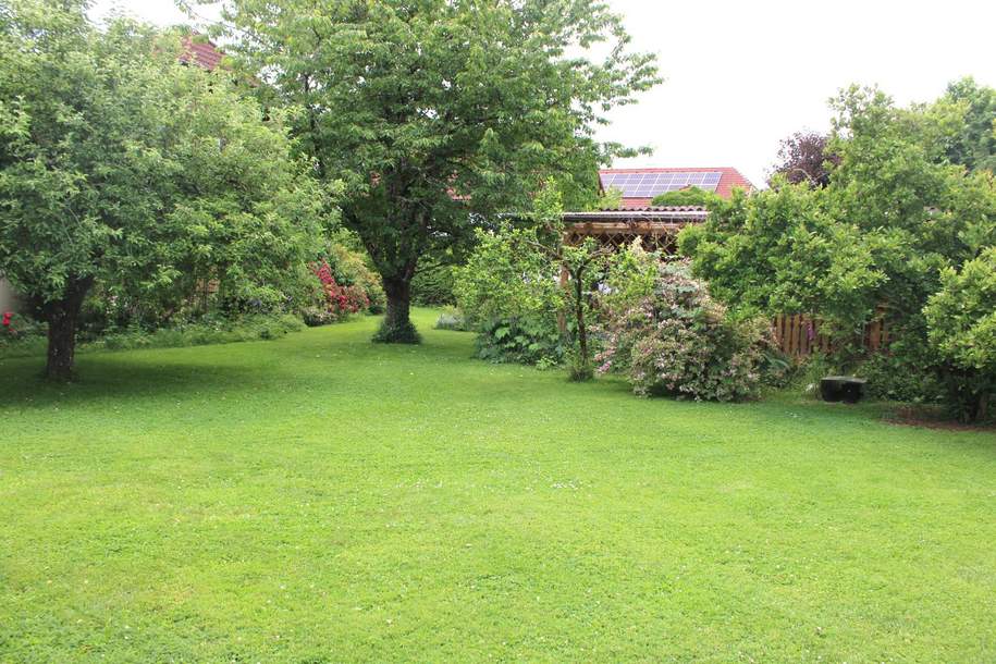 Idyllisches Baugrundstück am Waldrand! Kein Bauzwang, Grund und Boden-kauf, 229.000,€, 4502 Linz-Land