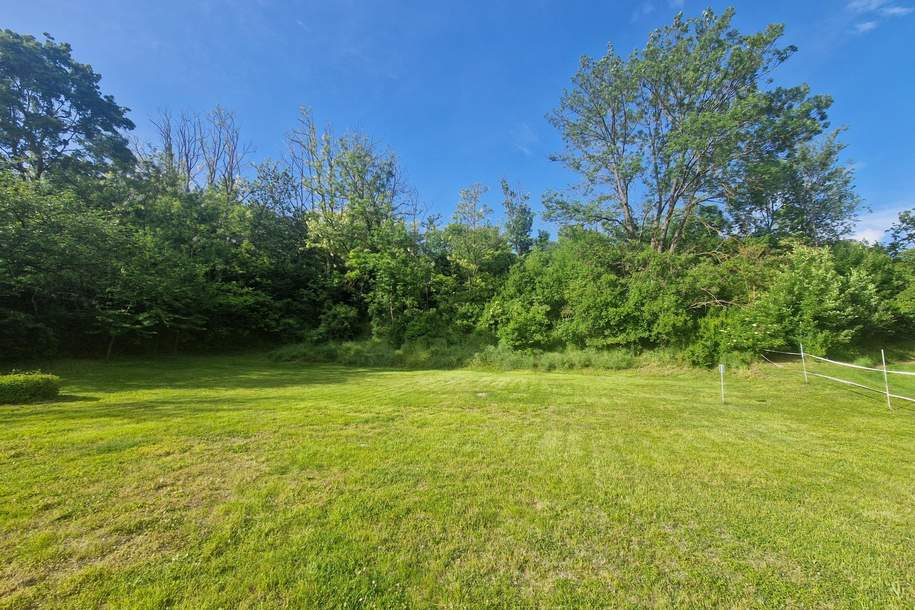 BAUEN UND WOHNEN MIT AUS- UND FERNBLICK DIREKT AN FELDER ANGRENZEND IN AUSGEZEICHNETER WOHNLAGE IM NAHBEREICH VON WIEN UND KORNEUBURG, Grund und Boden-kauf, 489.000,€, 2011 Korneuburg