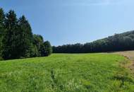 LANDWIRTSCHAFT VOR DEN TOREN WIENS