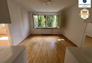 Gute Wohnlage &amp; Grünruhelage: Sanierte Vierzimmer-Wohnung!
