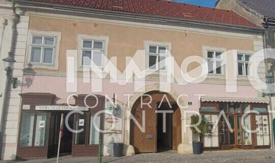 EHEMALIGES WINZERHAUS IM ZENTRUM VON LANGENLOIS