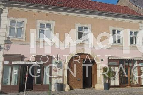 EHEMALIGES WINZERHAUS IM ZENTRUM VON LANGENLOIS, Haus-kauf, 830.000,€, 3550 Krems(Land)