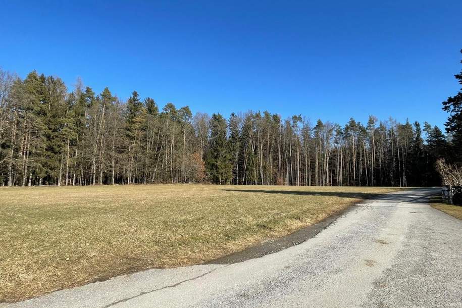 Grundstück mit ca. 7.300m² Grundfläche (für bis zu 7 Häuser), Grund und Boden-kauf, 1.022.000,€, 8062 Graz-Umgebung