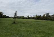 Natur pur