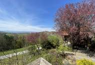 Charmantes Einfamilienhaus mit Gästehaus in der idyllischen Südsteiermark!