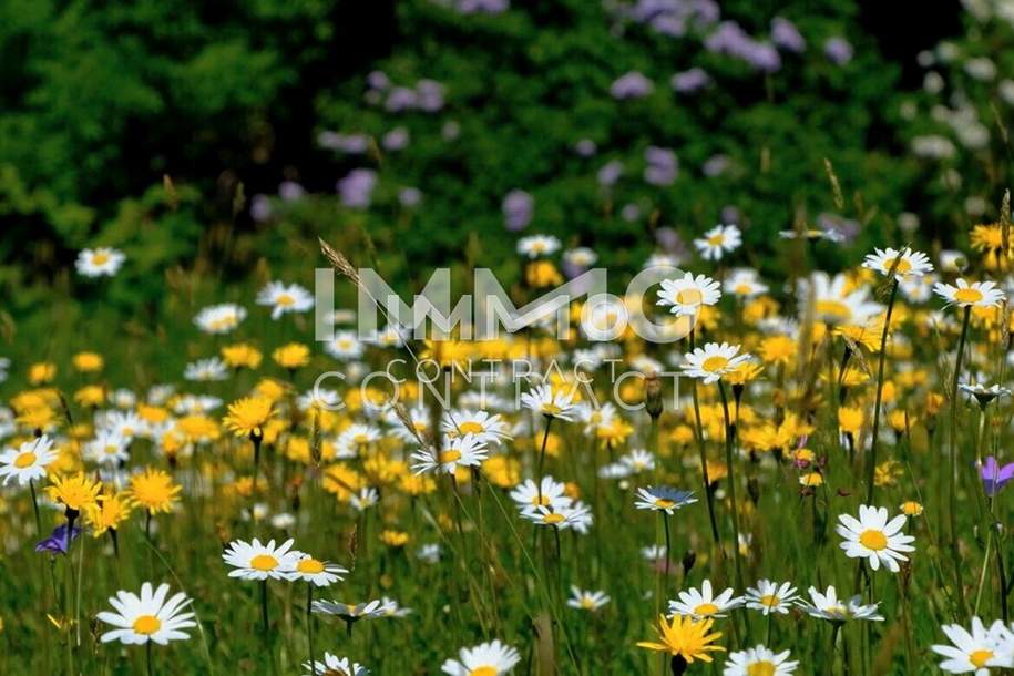 Ein Wohntraum mit Balkon in herrlicher Lage - 3 Zimmer Wohnung - provisionsfrei, Wohnung-kauf, 207.705,€, 4030 Linz(Stadt)