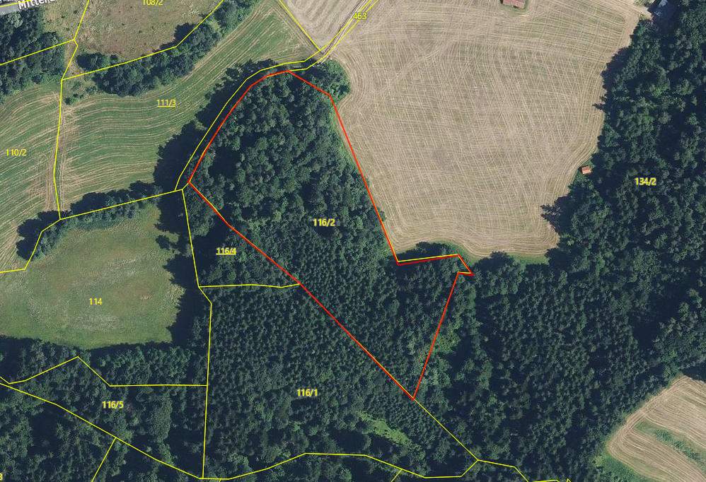 Mischwaldfläche in St. Ruprecht an der Raab