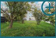 EIN "GRUND" MEHR UM RICHTUNG LOBAU ZU ZIEHEN