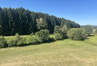 Gemütliches LOFT 68 m² in Traumnatur mit eigenen Gartenanteil! Miete ist inkl. Betriebskosten u. Heizkosten!