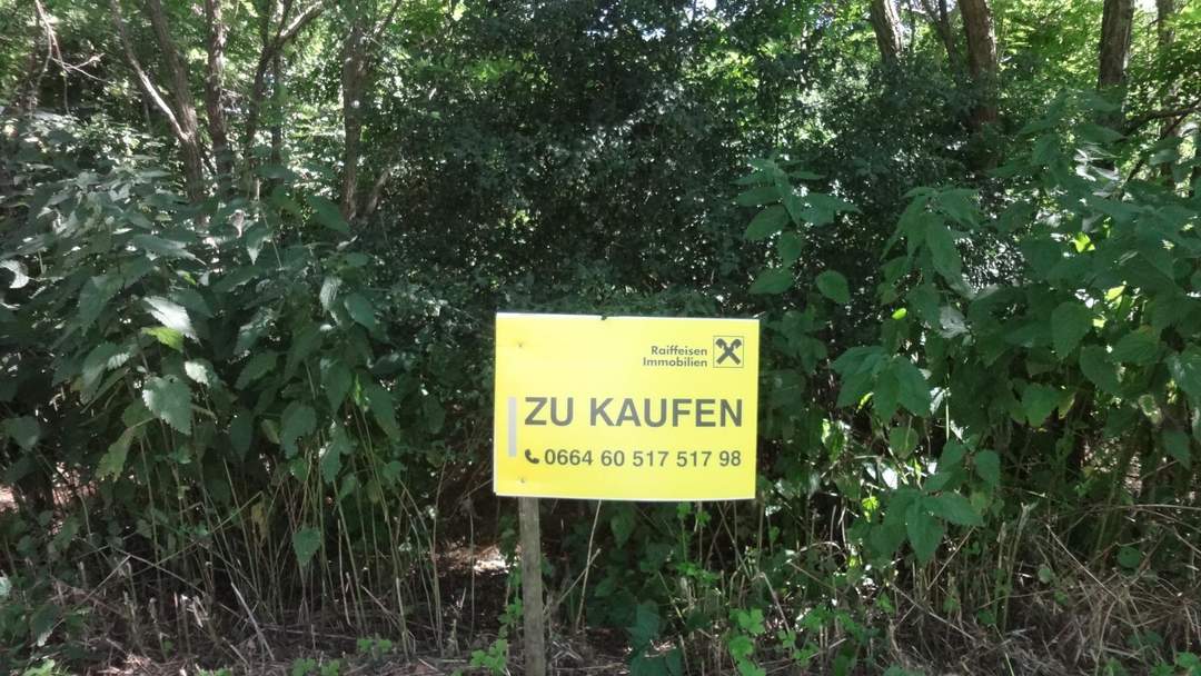 Verbuschtes Baugrundstück in ruhiger Lage ohne Bauzwang !