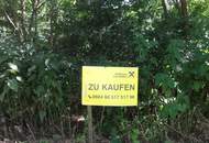 Verbuschtes Baugrundstück in ruhiger Lage ohne Bauzwang !