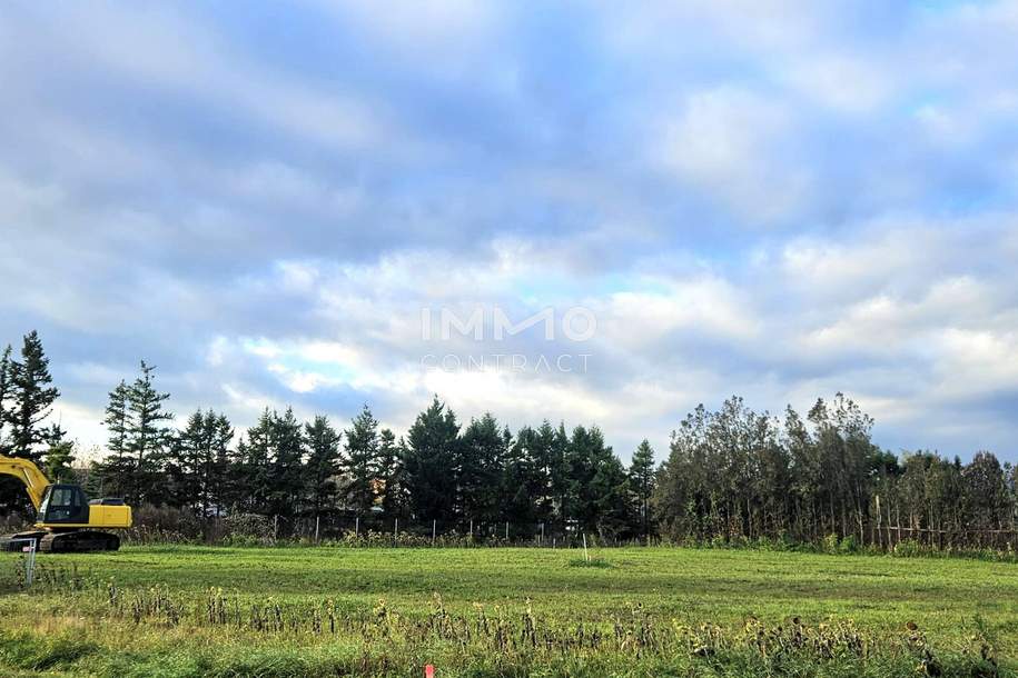 Hier beginnt Ihr Traum vom Eigenheim – großes Grundstück in idyllischer Lage, Grund und Boden-kauf, 268.000,€, 2751 Wiener Neustadt(Land)