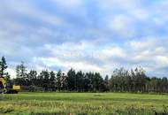 Hier beginnt Ihr Traum vom Eigenheim – großes Grundstück in idyllischer Lage