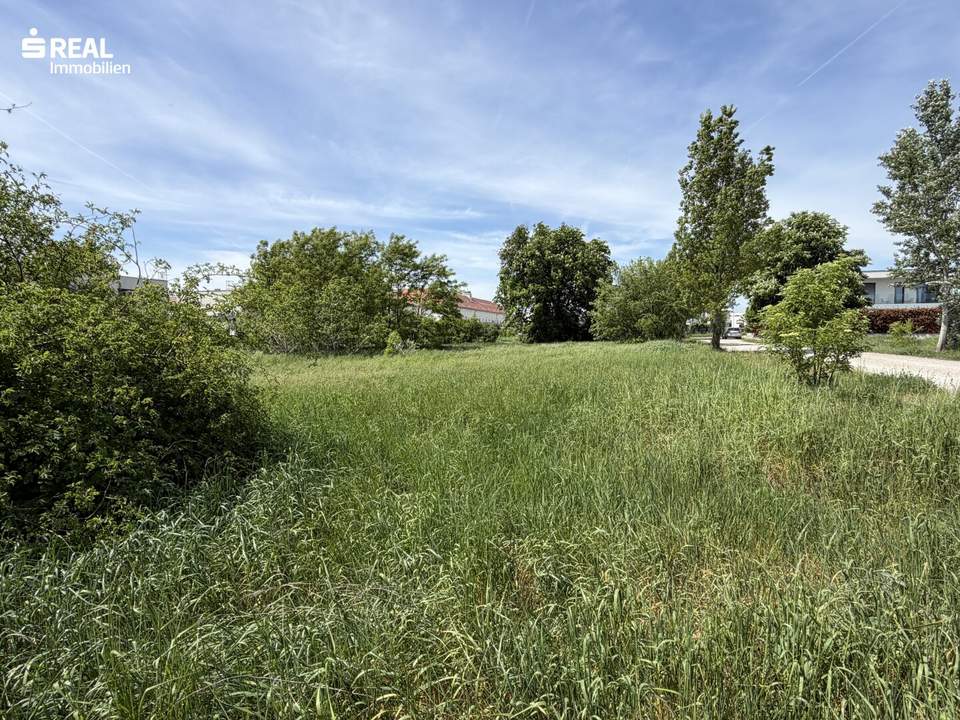 Wohnen nahe dem Neusiedler See - ruhige Lage - zentrumsnah
