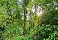 Attraktive Preisreduzierung bei einer Liegenschaft für Naturliebhaber und Individualisten