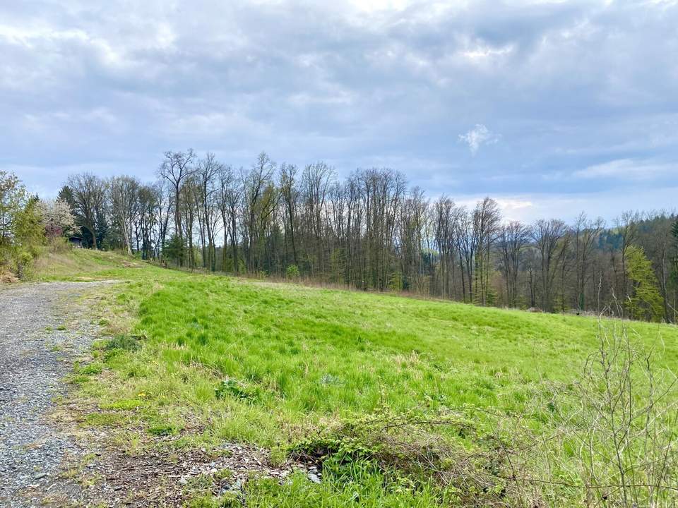 +++ FERNBLICK +++ großzügiges Grundstück mit Aussichtslage in Raaba