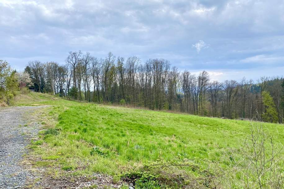 +++ FERNBLICK +++ großzügiges Grundstück mit Aussichtslage in Raaba, Grund und Boden-kauf, 1.500.000,€, 8074 Graz-Umgebung