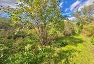 Reiterparadies im Weinviertel – Ihr Traum vom Landleben!