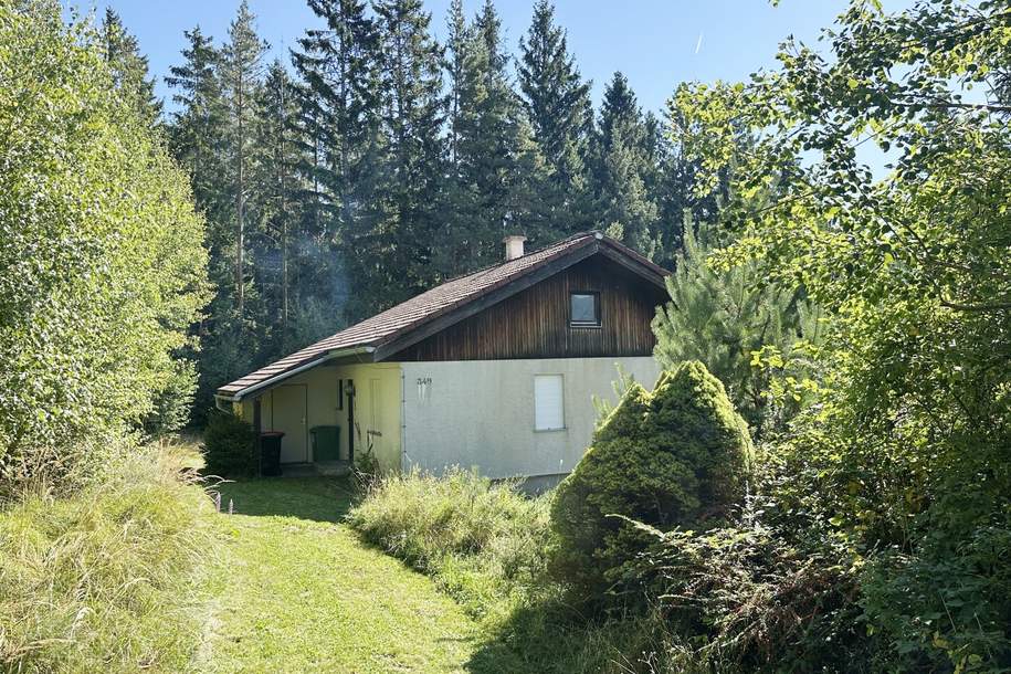 Ruhig gelegenes Einfamilienhaus in Mönichkirchen mit großem Grundstück, Haus-kauf, 229.000,€, 2872 Neunkirchen