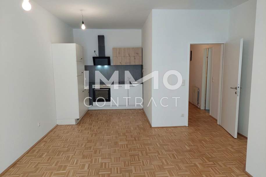 2 - Raum - Wohnung mit kleinem Wintergarten / Dachterrasse im Zentrum von Enns, Wohnung-miete, 562,76,€, 4470 Linz-Land
