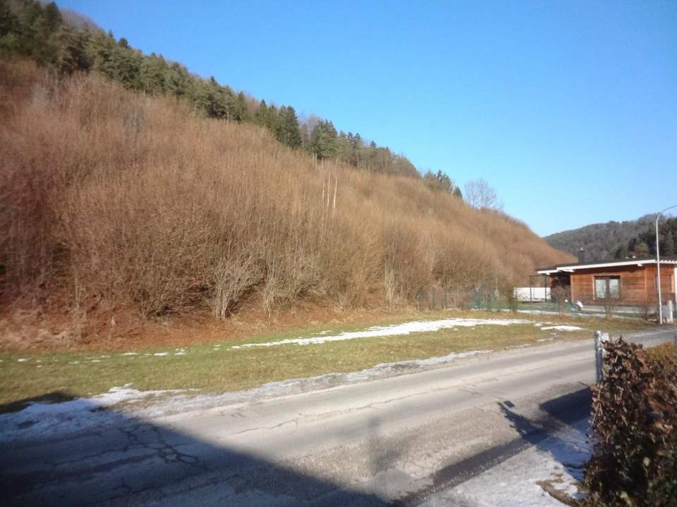 GRUNDSTÜCK OHNE BAUZWANG IN RUHIGER LAGE!