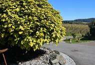 Romantische Ziegelmassiv-Doppelhaushälfte mit Sommergarten und Sauna, voll ausgestattet und provisionsfrei! (Provisionsfrei)