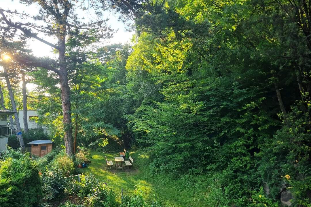 Gepflegte Dachgeschoßwohnung mit Terrasse in Grünlage in Neuwaldegg