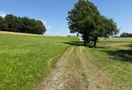 Sacherl in Alleinlage - mit 5000 m² Obstbaumwiese und Wald