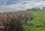 Landwirtschaftlicher Nutzgrund in Leonding Holzheim