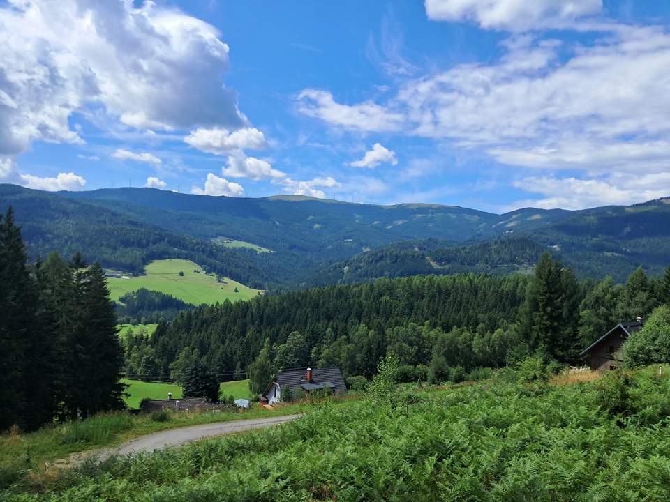 3 Hebalm Grundstücke mit 4 bewilligten Ferienhäuser (Provisionsfrei)