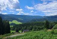 3 Hebalm Grundstücke mit 4 bewilligten Ferienhäuser (Provisionsfrei)