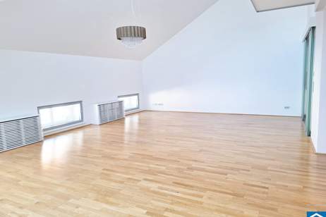 Wohnen und Arbeiten im herrschaftlichen Palais beim Schwarzenbergplatz, Wohnung-kauf, 1.200.000,€, 1040 Wien 4., Wieden