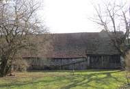 Vielseitig nutzbarer Vierseithof mit Maschinenschuppen, Stallungen, Keller und Garten