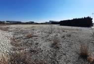 Sie brauchen Platz? Wir haben ihn...