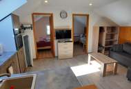 Ferienhaus in Kärnten kaufen - Charmantes Landhaus mit 2 Wohneinheiten in den Kärntner Alpen - Wohnen - Vermieten & Genießen