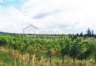 Exklusives Baugrundstück in Toplage – Weinberge & Waldidylle südlich von Wien