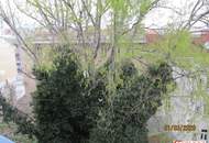 Charmante 3-Zimmer Wohnung, 61m², gepflegt, Parkett, 1210 Wien, €265.000 mit Gutschein für Einbauküche