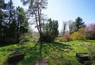 Villengrundstück in Waldrandruhelage zwischen Wolfersberg und Kolbeterberg