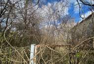 Bauplatz mit Altbestand