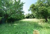 Gepflegtes Haus mit großem Garten, Panorama und Gartenhaus