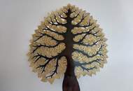 Einzigartige Liegenschaft in Maria Bild