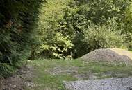 **NEUER PREIS** Hochwertig ausgestatteter Ziegelmassivbau (Greil Bau) in idyllischer Waldrand- und Ruhelage