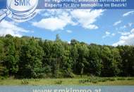 Weinkeller mit riesen Waldgrundstück Nähe A5!