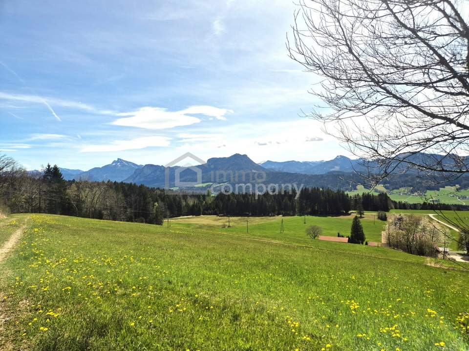 Ihr Traumgrundstück in Thalgauberg: 954m² mit atemberaubendem Bergblick!