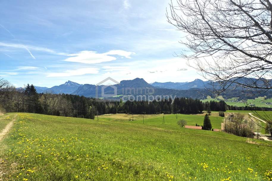 Ihr Traumgrundstück in Thalgauberg: 954m² mit atemberaubendem Bergblick!, Grund und Boden-kauf, 495.000,€, 5303 Salzburg-Umgebung