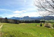 Ihr Traumgrundstück in Thalgauberg: 954m² mit atemberaubendem Bergblick!