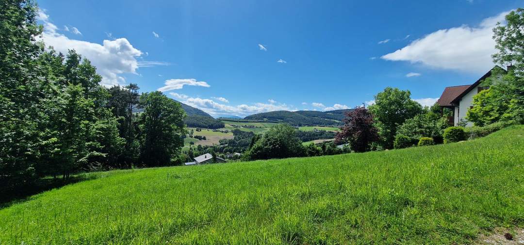 Grundstück mit Seeblick in der Oststeiermark.