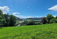 Grundstück mit Seeblick in der Oststeiermark.