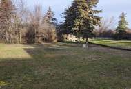 "Sollenau – Grundstück mit zwei Planungsvorschlägen!"