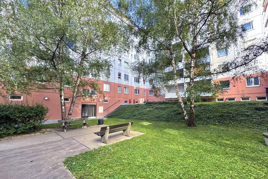 IDEALE LAGE I U-Bahn + Schnellbahn in Gehweite I großzügiger Grundriss mit viel Potential I Loggia I Lift I grüner Innenhof, Wohnung-kauf, 349.000,€, 1200 Wien 20., Brigittenau